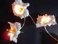 White Hibiscus Flower - fairy light Strings